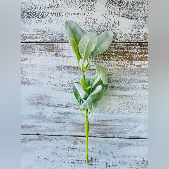 *Lamb’s Ear Pick, 13”, Bundle of 3 - Picture 5 of 13